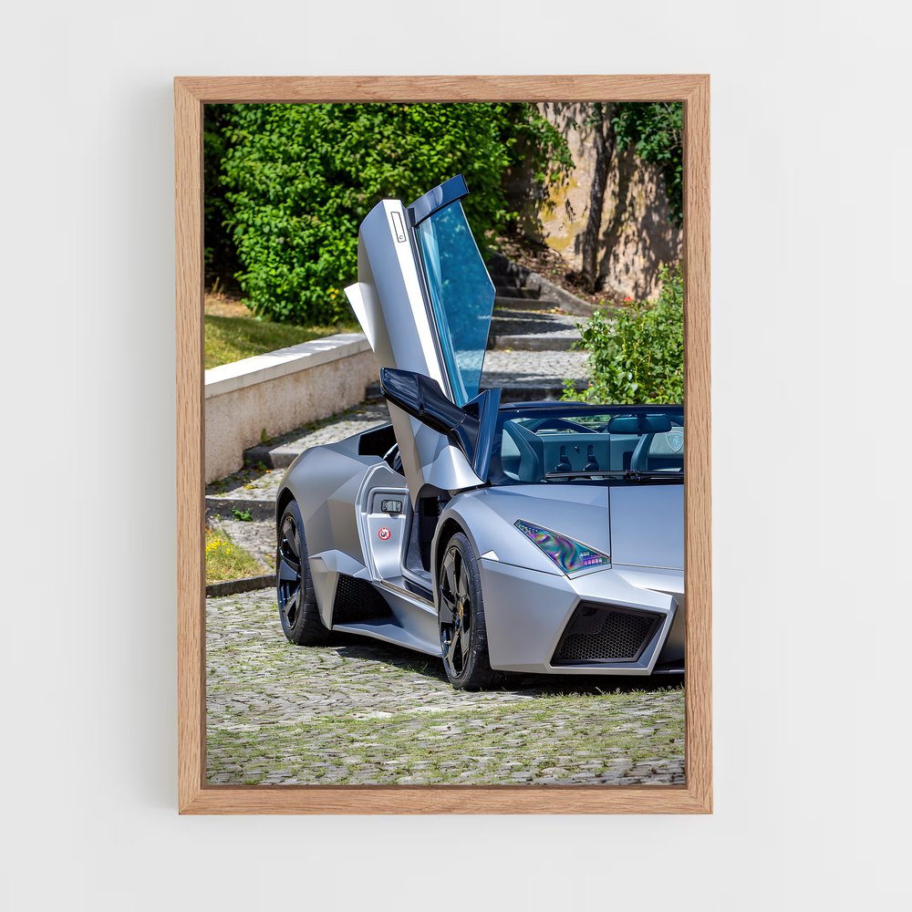 Poster Reventon roadster portes – affiche Lamborghini (vue 4)